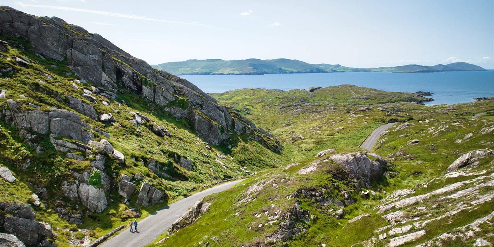 The Biggest Band of Messers in Cork: Leevy